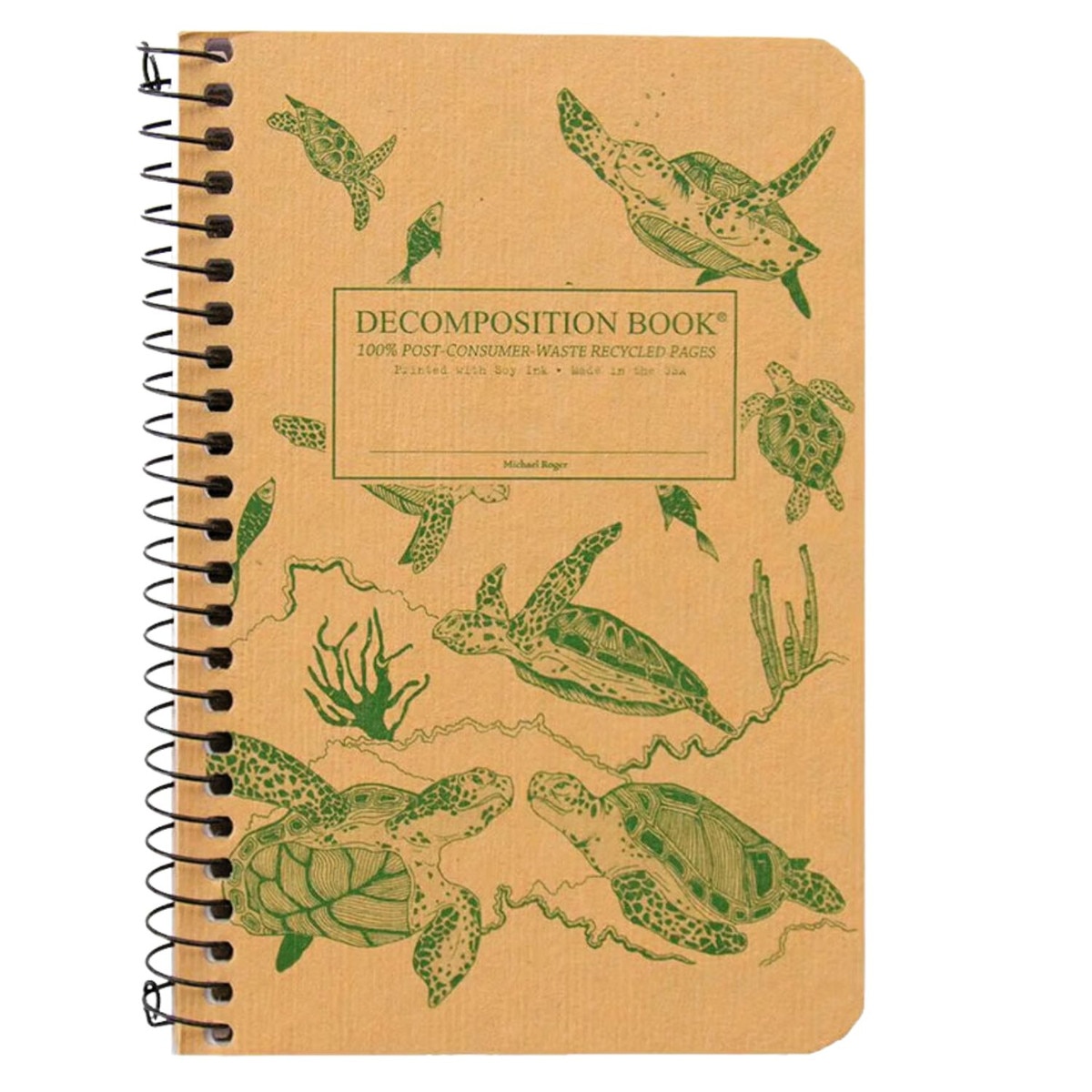 drawn sea turtles with corals cover